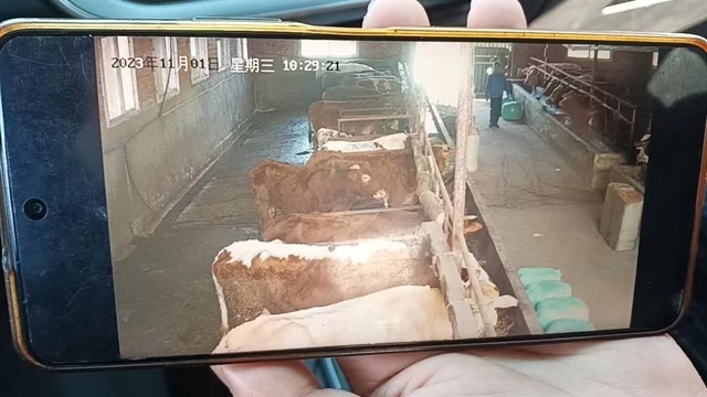 陕西移动数智赋能 助力乡村产业发展跑出“加速度”